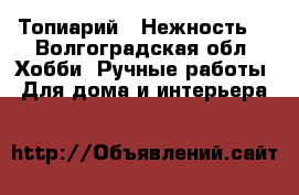 Топиарий “ Нежность“ - Волгоградская обл. Хобби. Ручные работы » Для дома и интерьера   